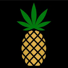Pineapple Express Hollywood Weed Dispensary gallery image