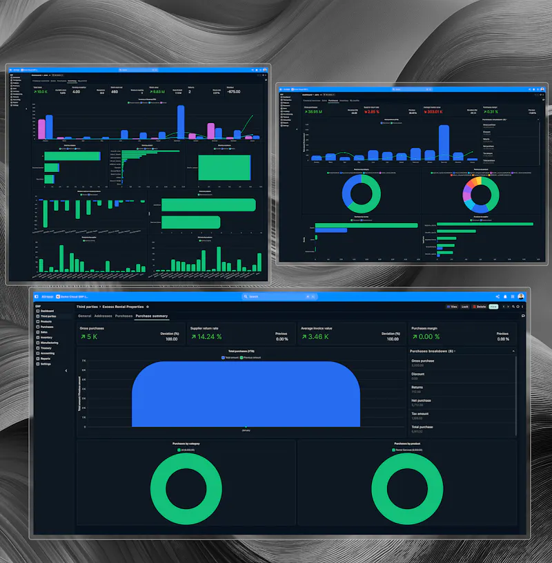 Axional ERP screenshot 3