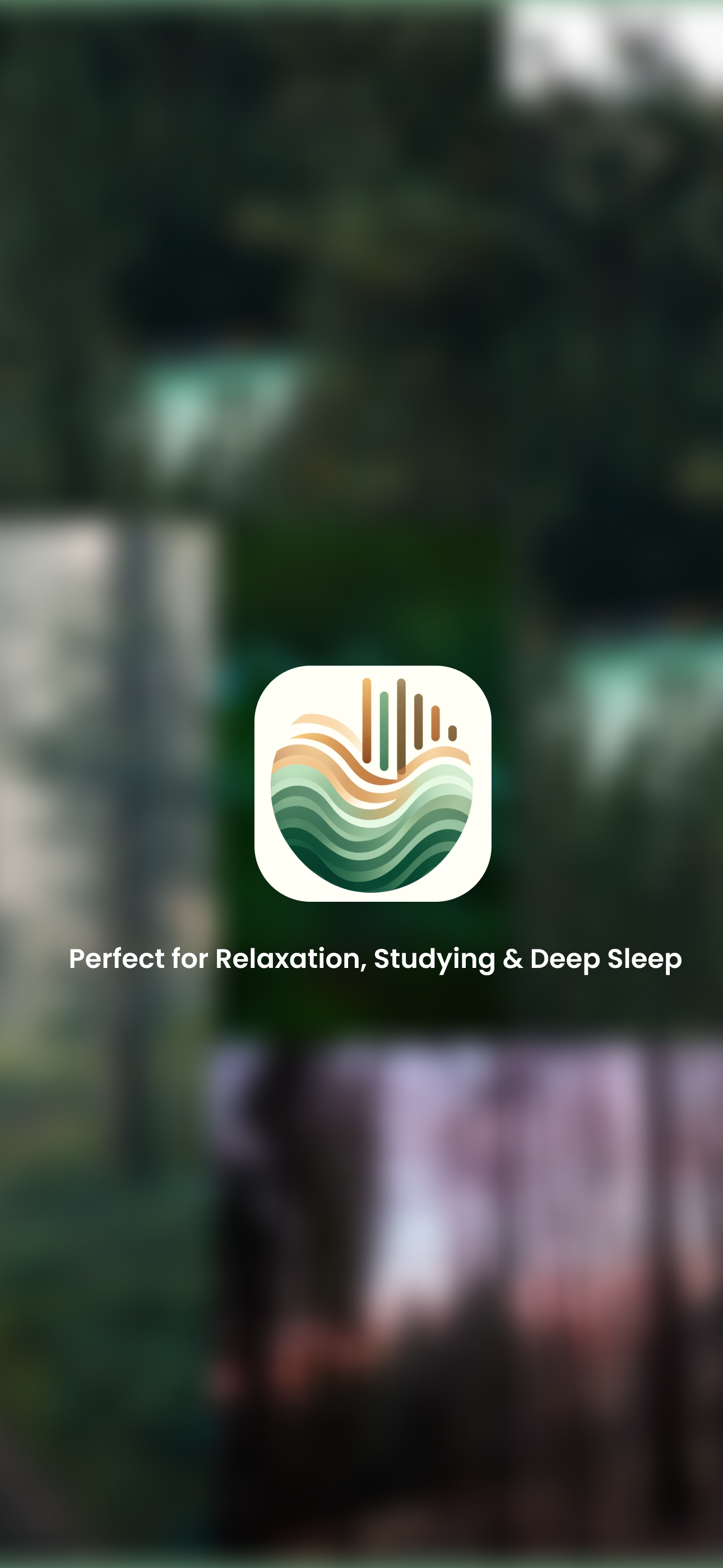 Noize - Forest: Relax, Focus & Drapping With Nature Sounds media 1
