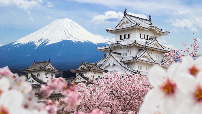 Travel With Pro gallery image