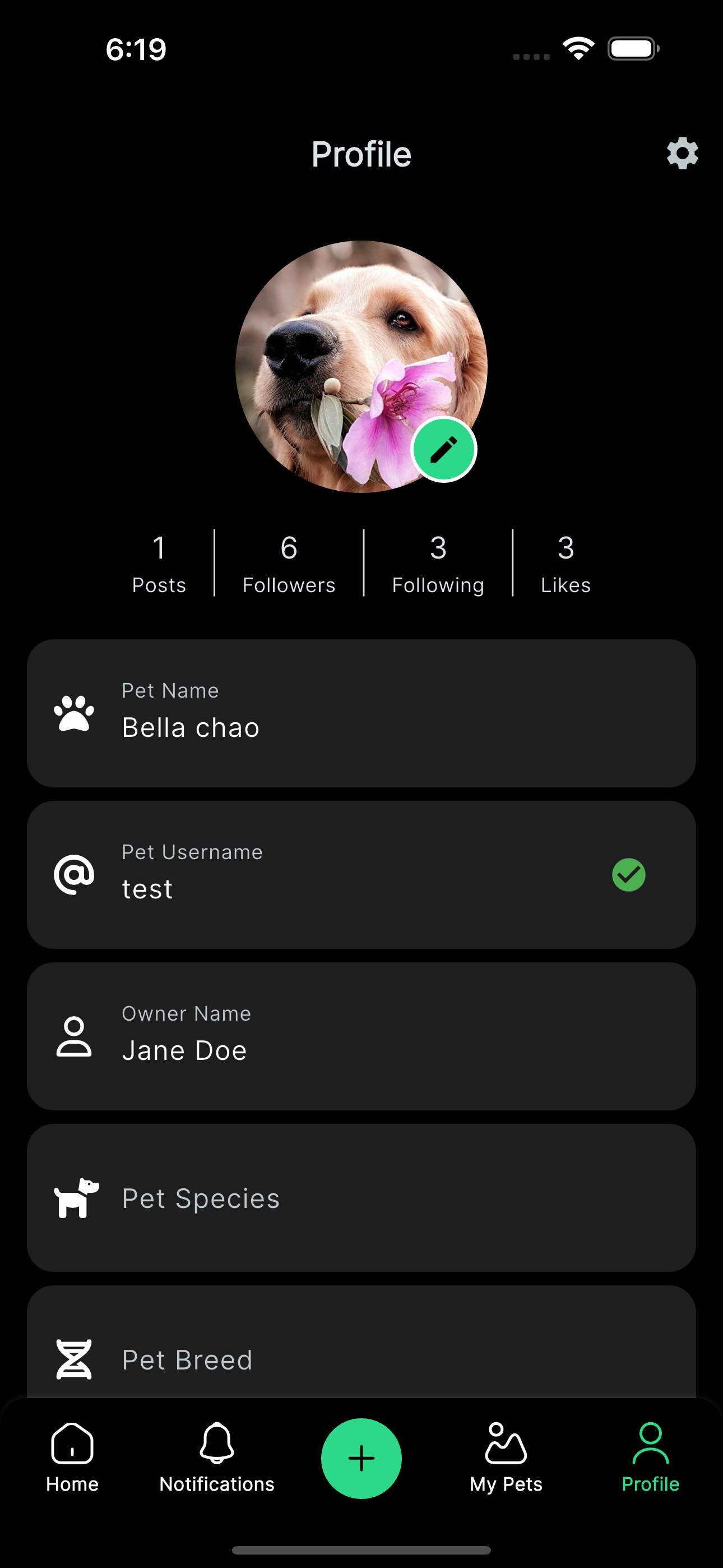 Mimba AI media 3