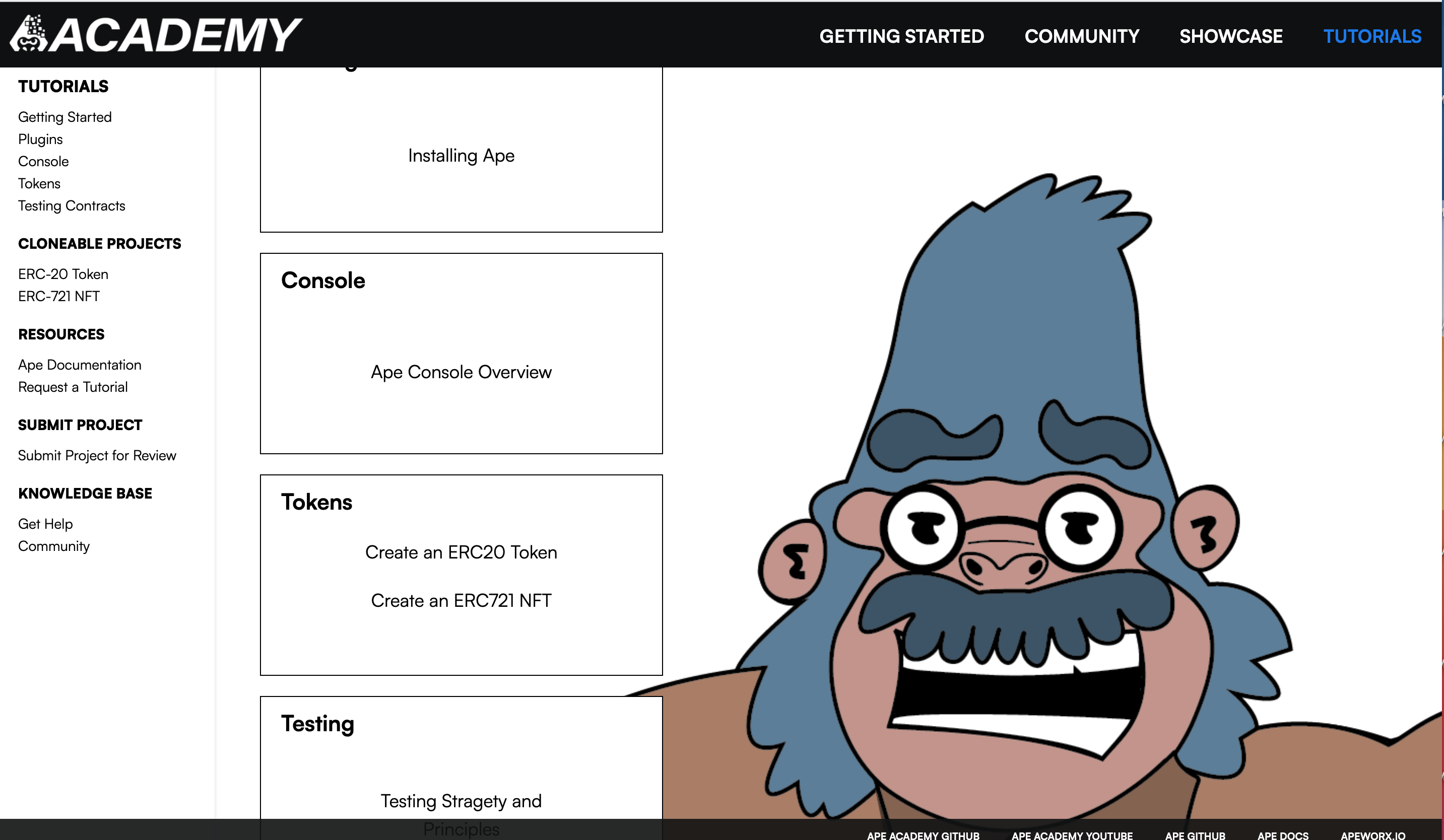 Academia APE - Una plataforma de aprendizaje entre pares web3 para pitonistas media 5