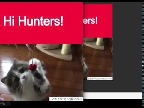 Editdit gallery image