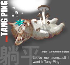 Tang Ping Cat - Memecoin Project gallery image