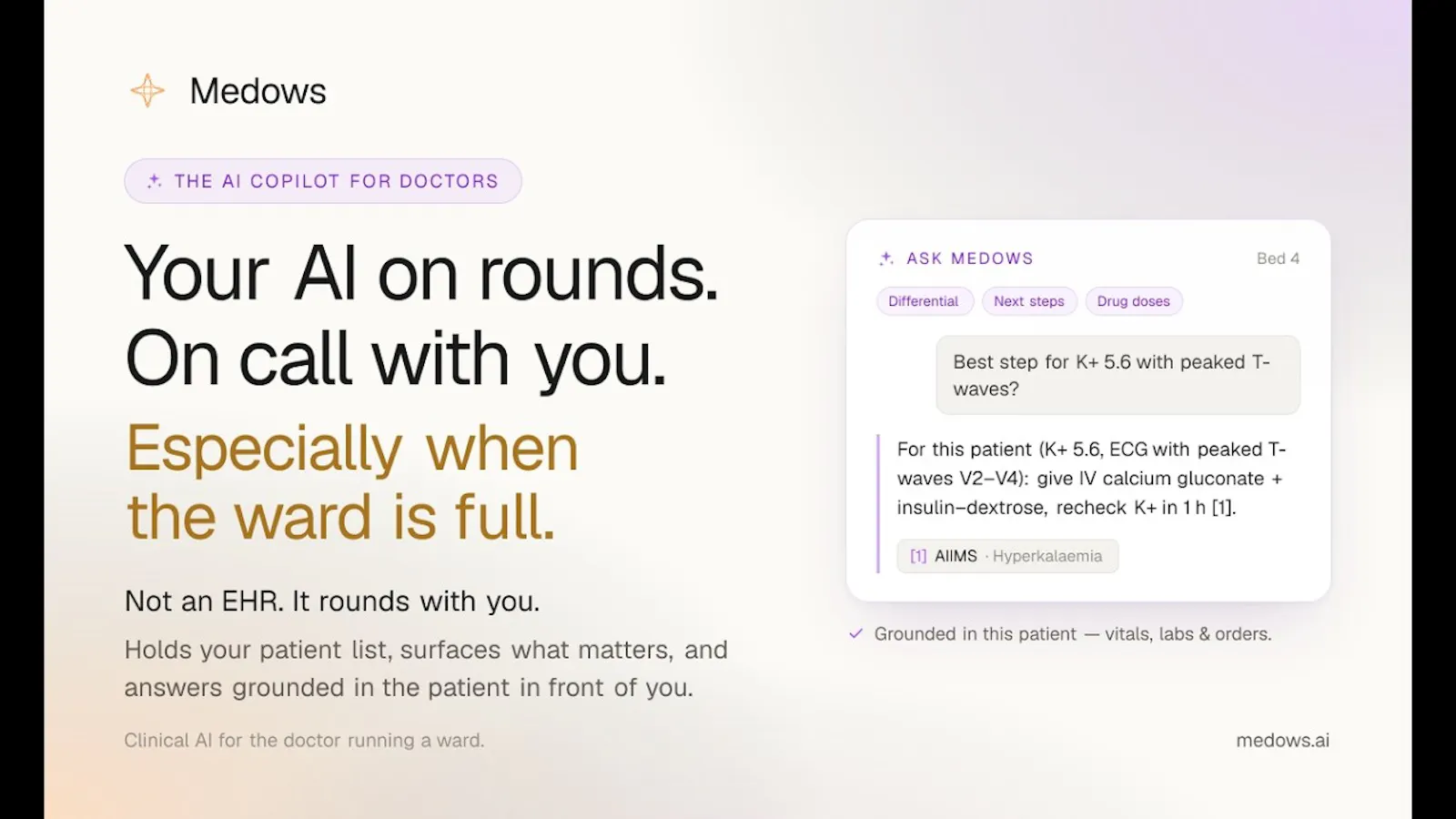 Medows screenshot 1 (video preview)