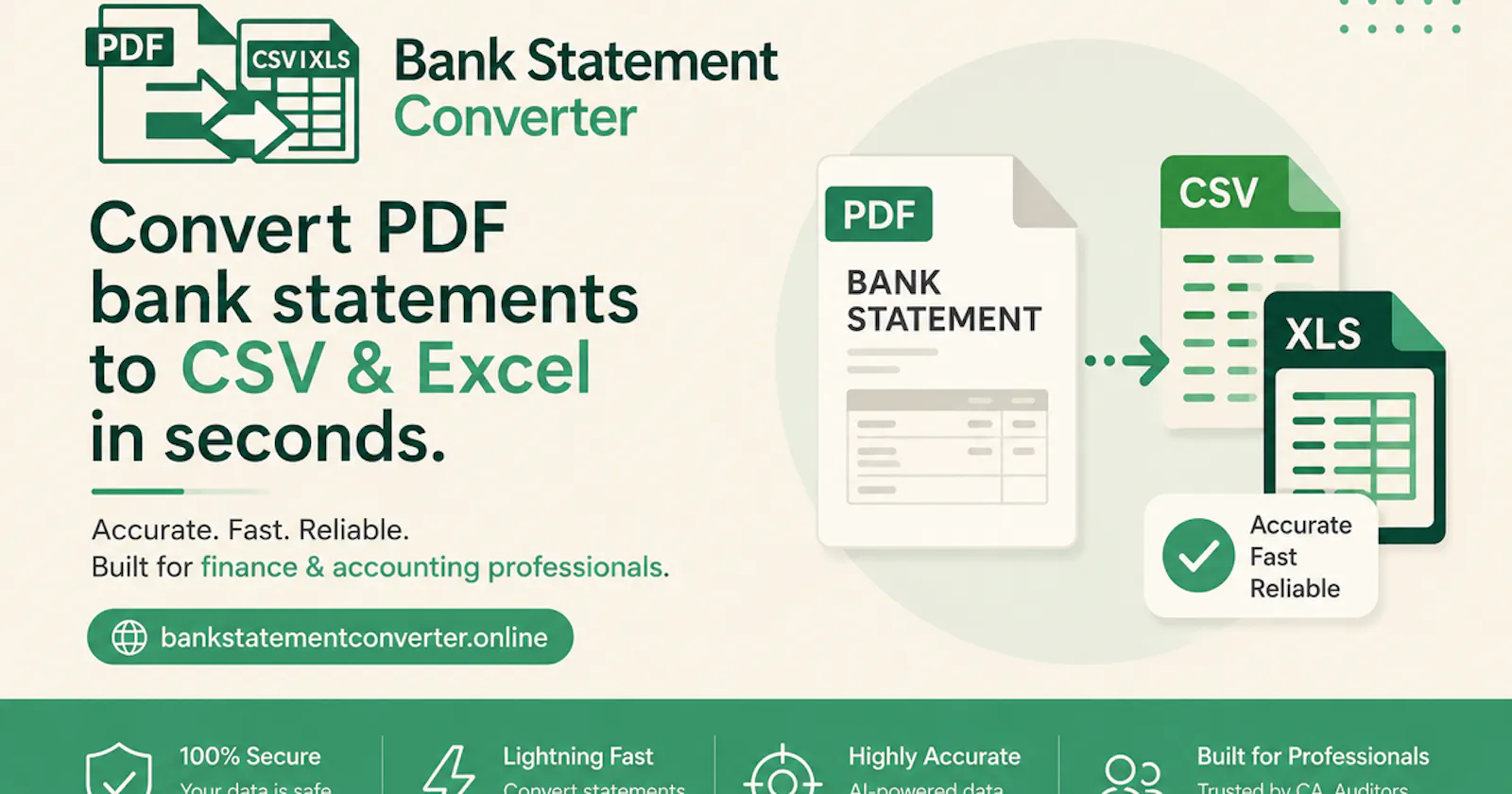 Bank Statement Converter screenshot 3