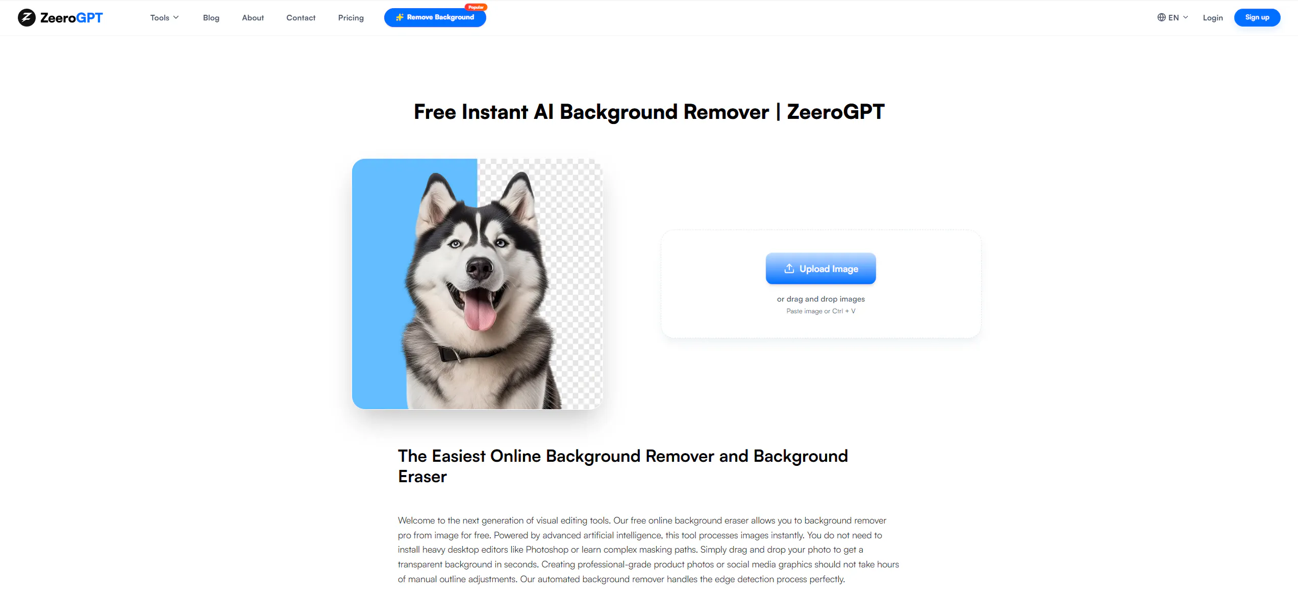 ZeeroGPT gallery image