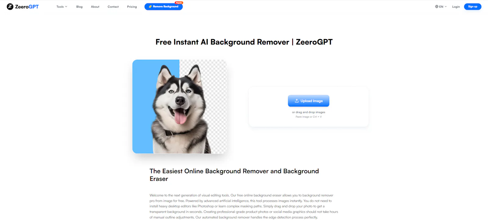 ZeeroGPT screenshot 2
