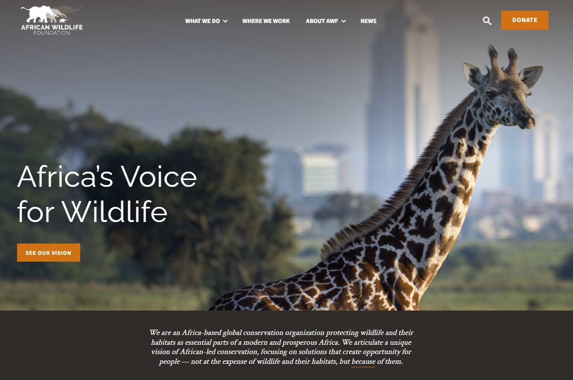 African Wildlife Foundation gallery image