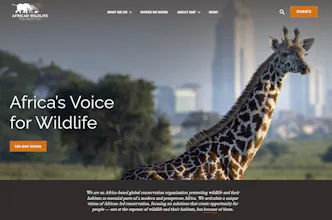 African Wildlife Foundation gallery image