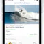 World Surf League