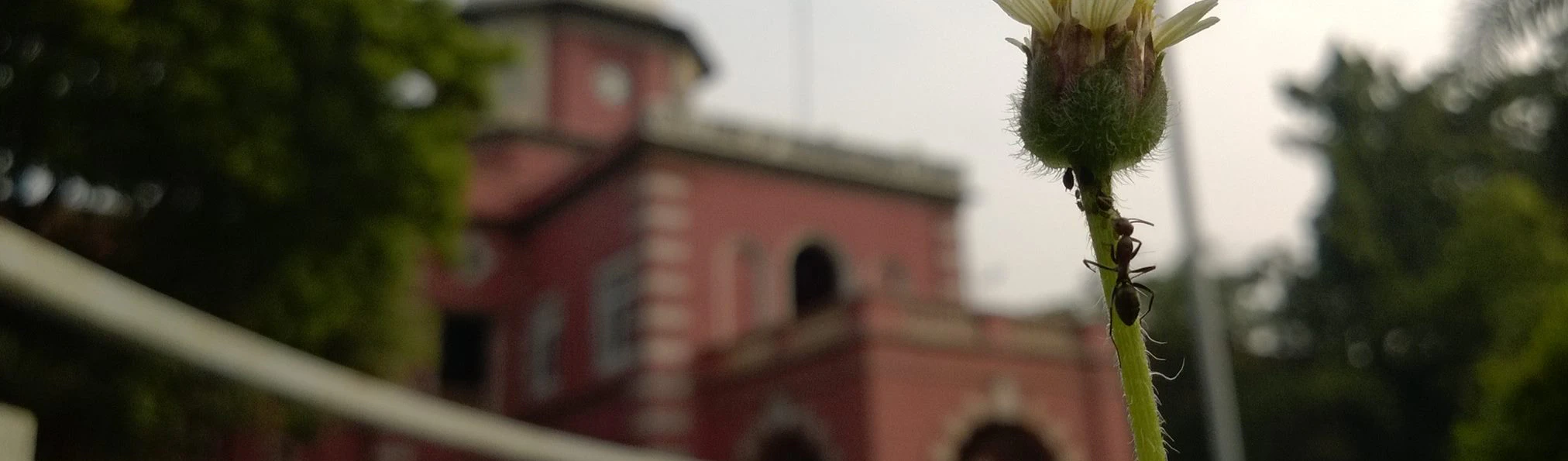 Sanjith Kanagavel cover