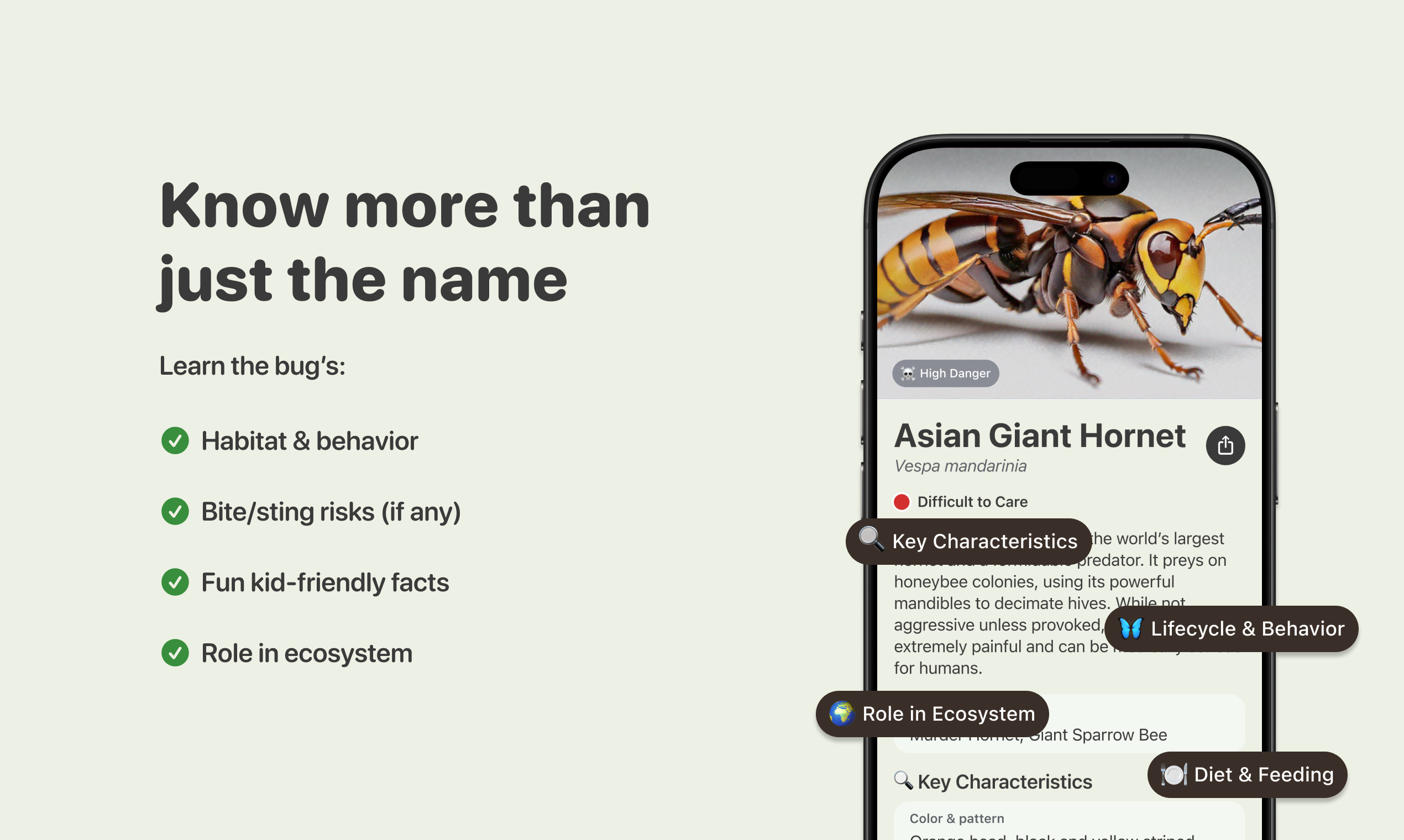 BugPic media 5
