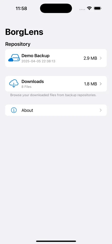 Media Borglens - Truy cập an toàn bản sao lưu Borg của bạn ở bất cứ đâu, mọi lúc trên iOS 3
