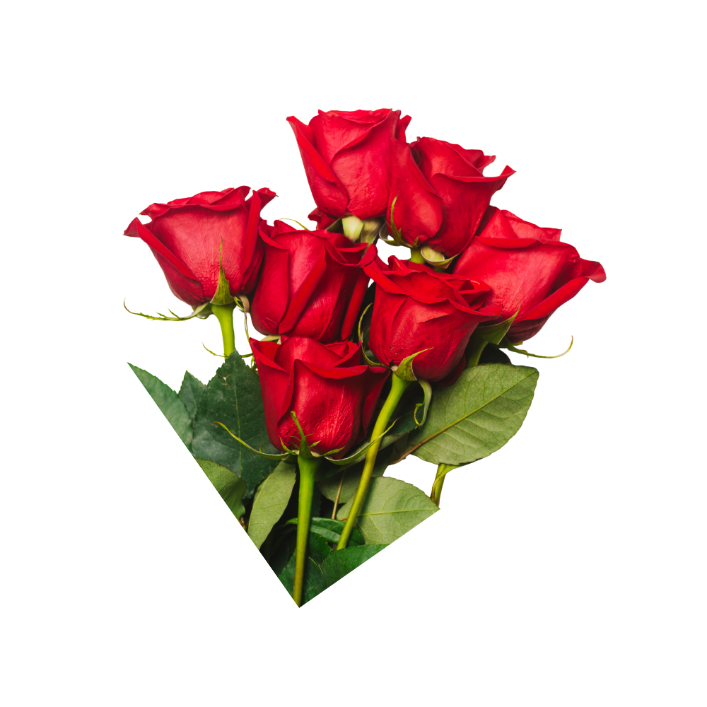 Aurvanah Botanicals gallery image