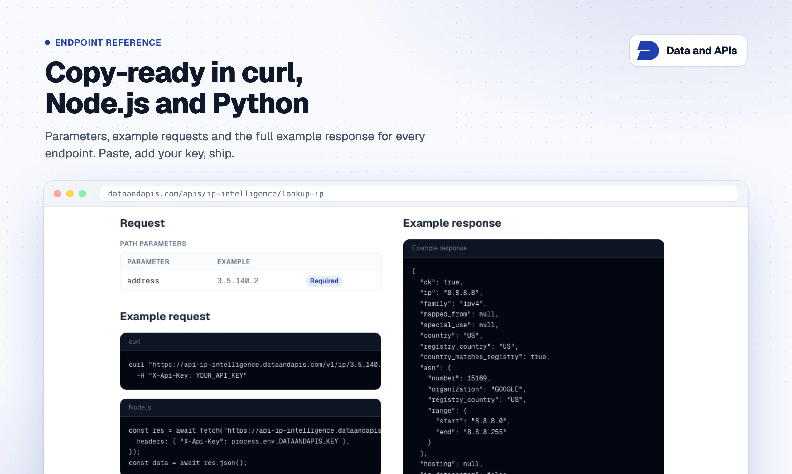 Data And Apis gallery image