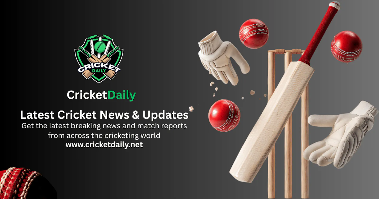 CRICKET DAILY NEWS AND UPDATES screenshot 2