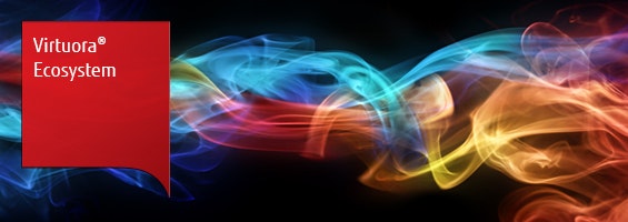 Virtuora Ecosystem
