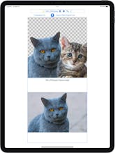 AI CutoutCraft gallery image