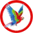 Macaw