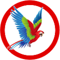 Macaw