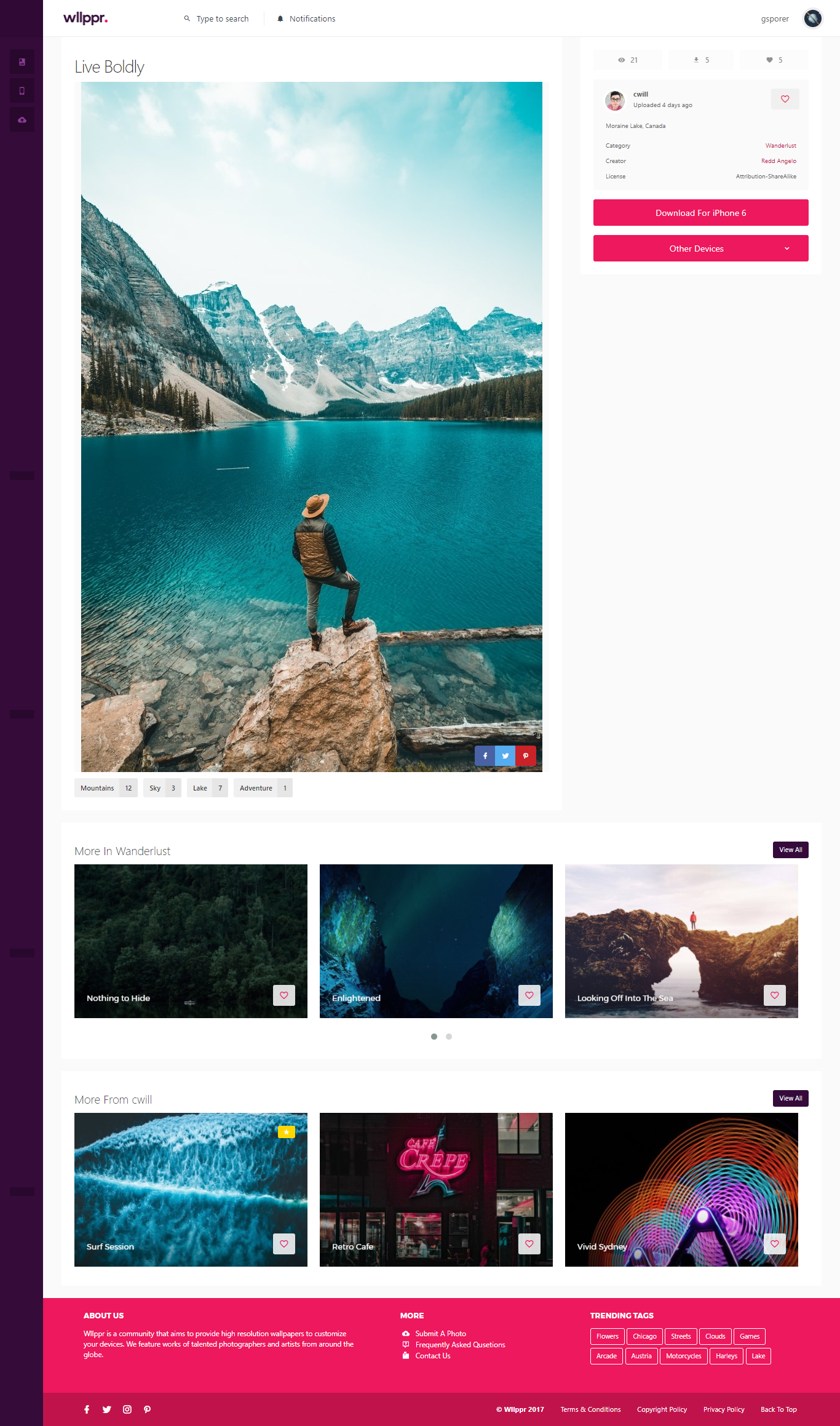 Wllppr gallery image