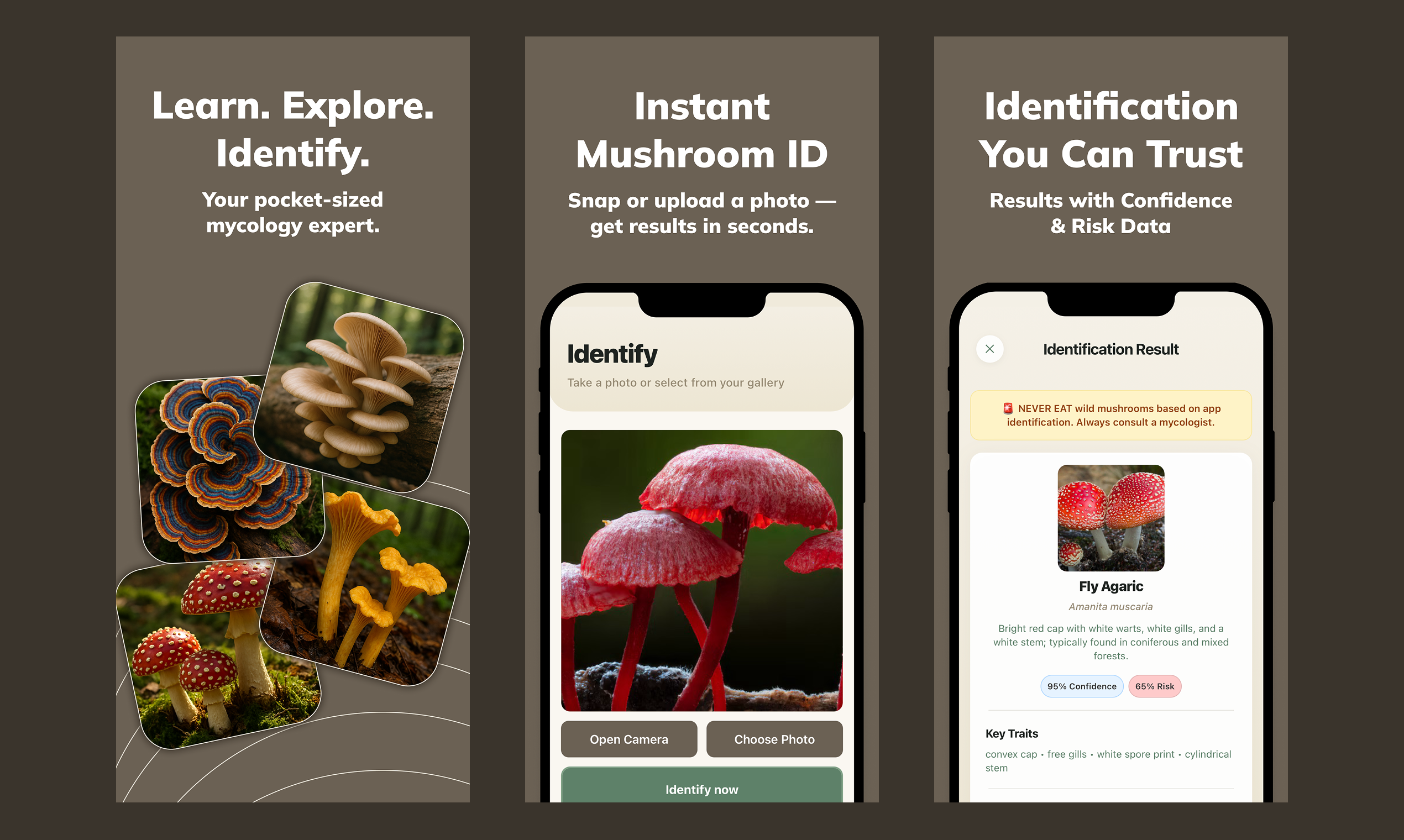 Mushy: Mushroom Identifier gallery image