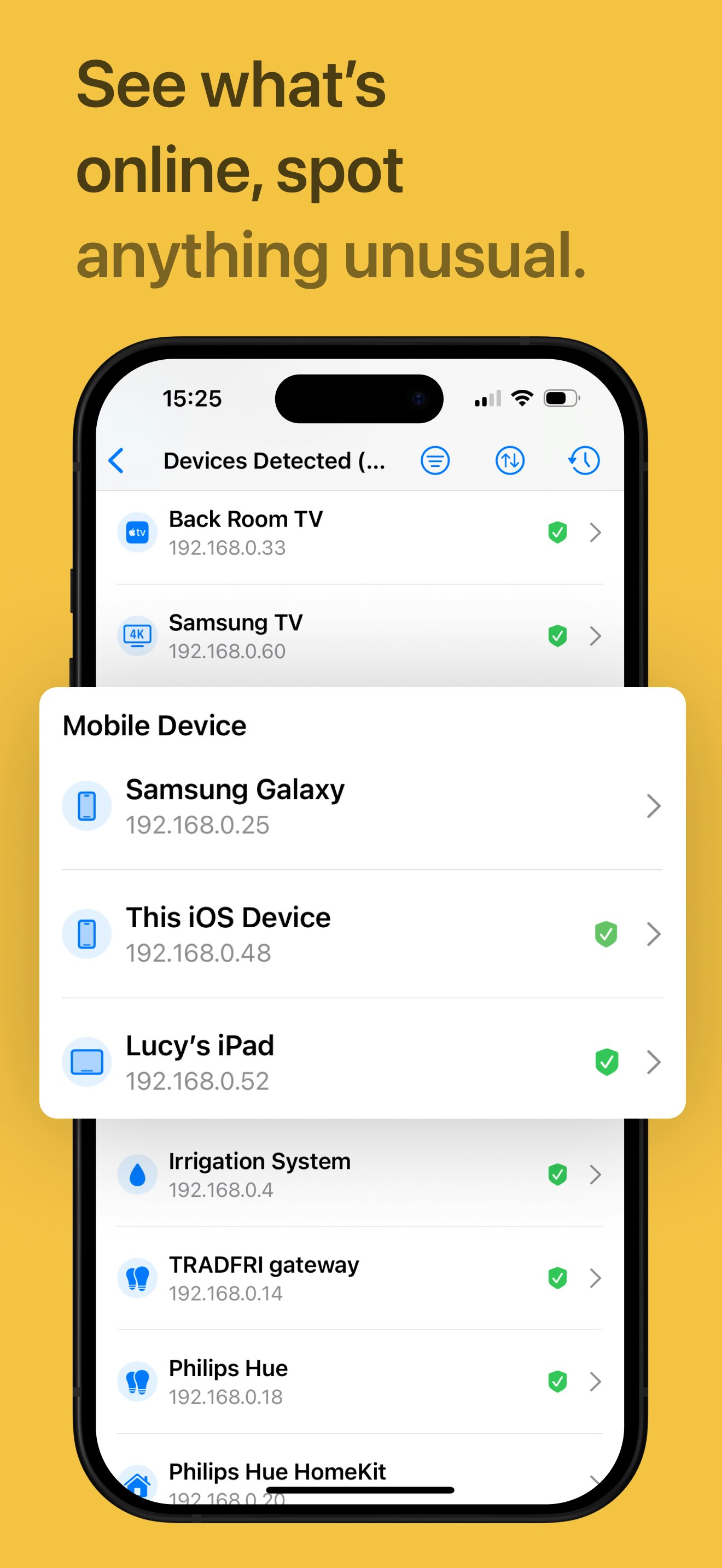 Netsbee media 4