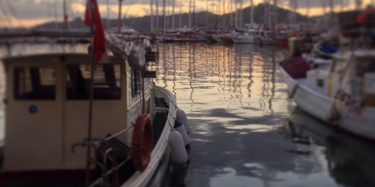 shashikanth ASV cover