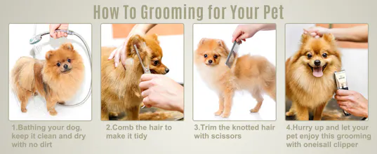 oneisall dog clippers gallery image