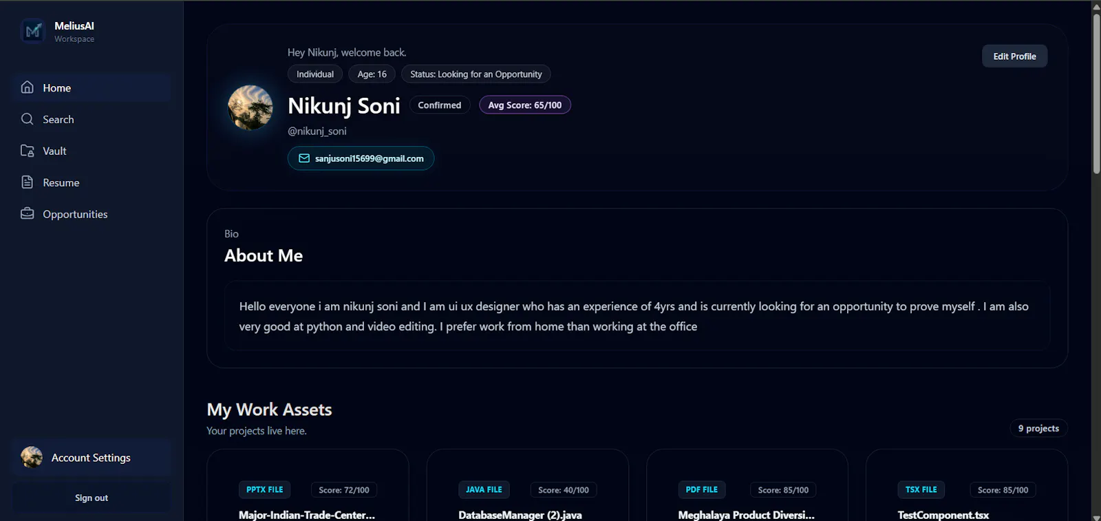 MeliusAI screenshot 1