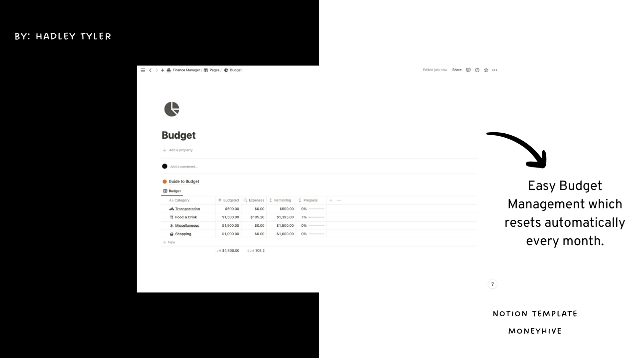 وسائط MoneyHive - وداعا وداعا إلى الفوضى المالية مع MoneyHive. 5