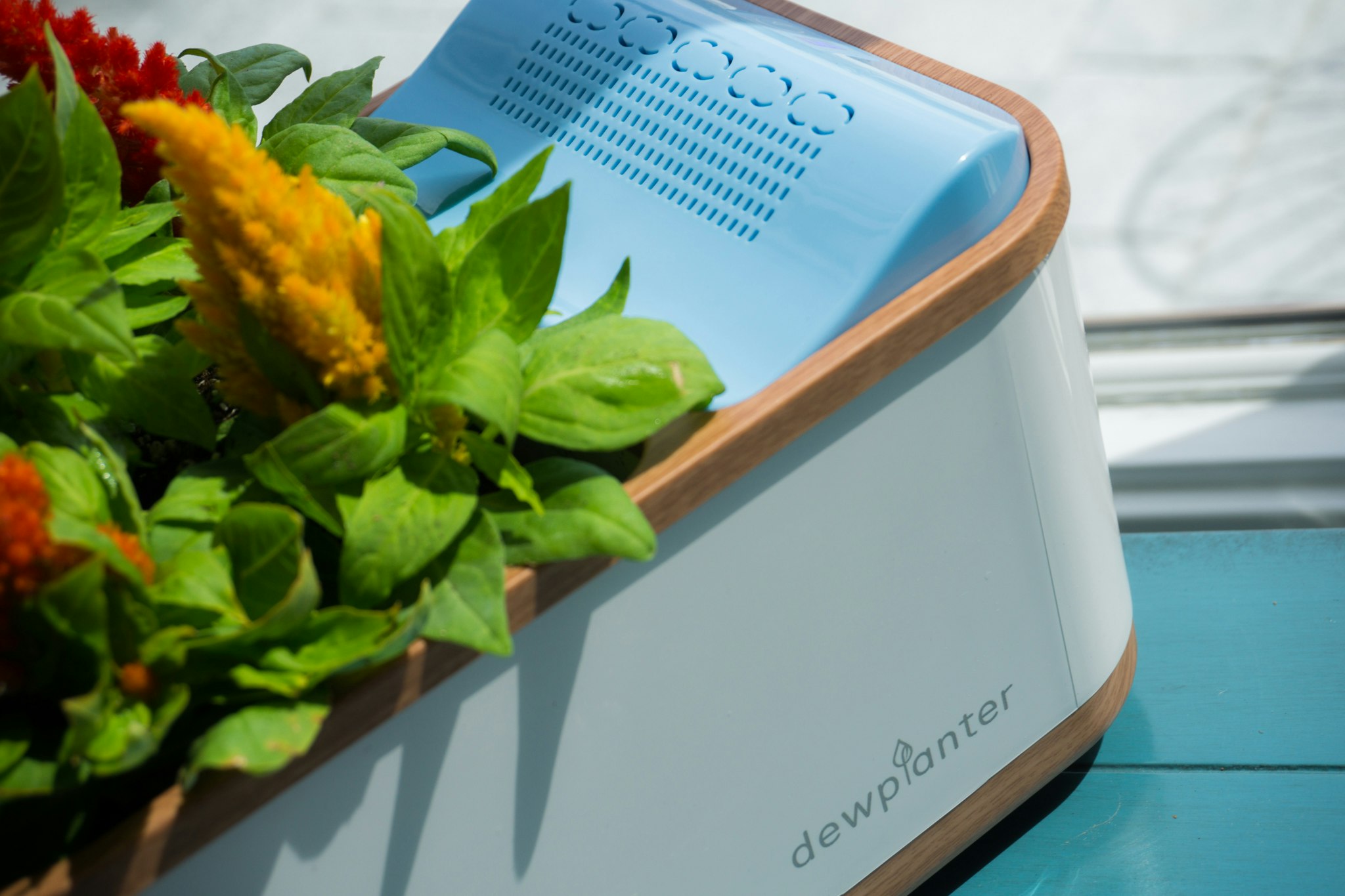 Dewplanter - Water Generating Planter gallery image