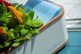 Dewplanter - Water Generating Planter gallery image