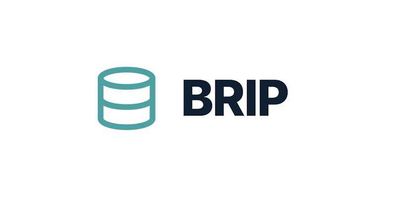 BRIP screenshot 2