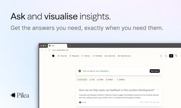 Pilea Insights gallery image