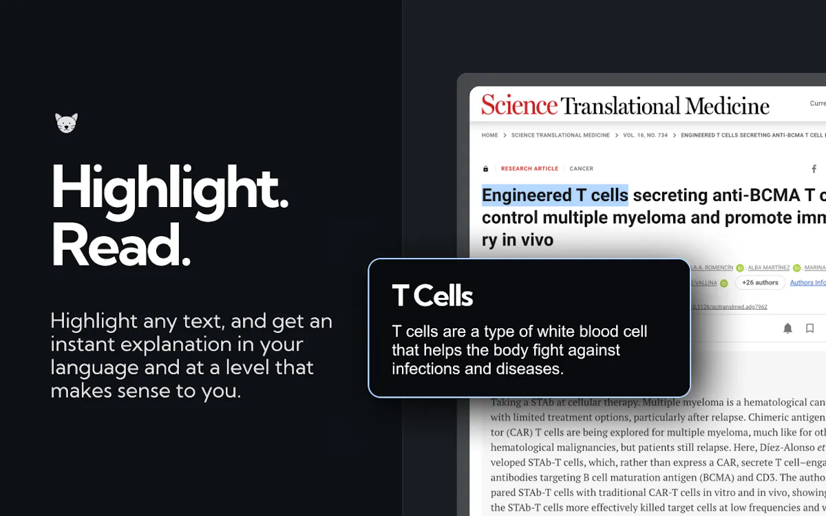 ExplainTXT: Translate & Explain any Text