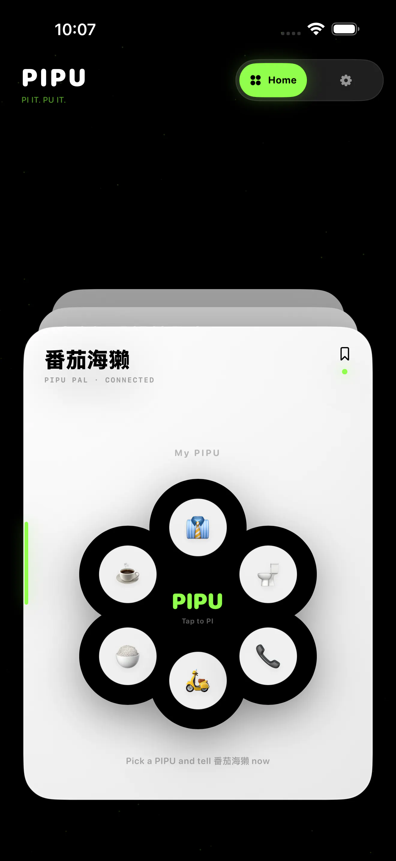 PIPU gallery image