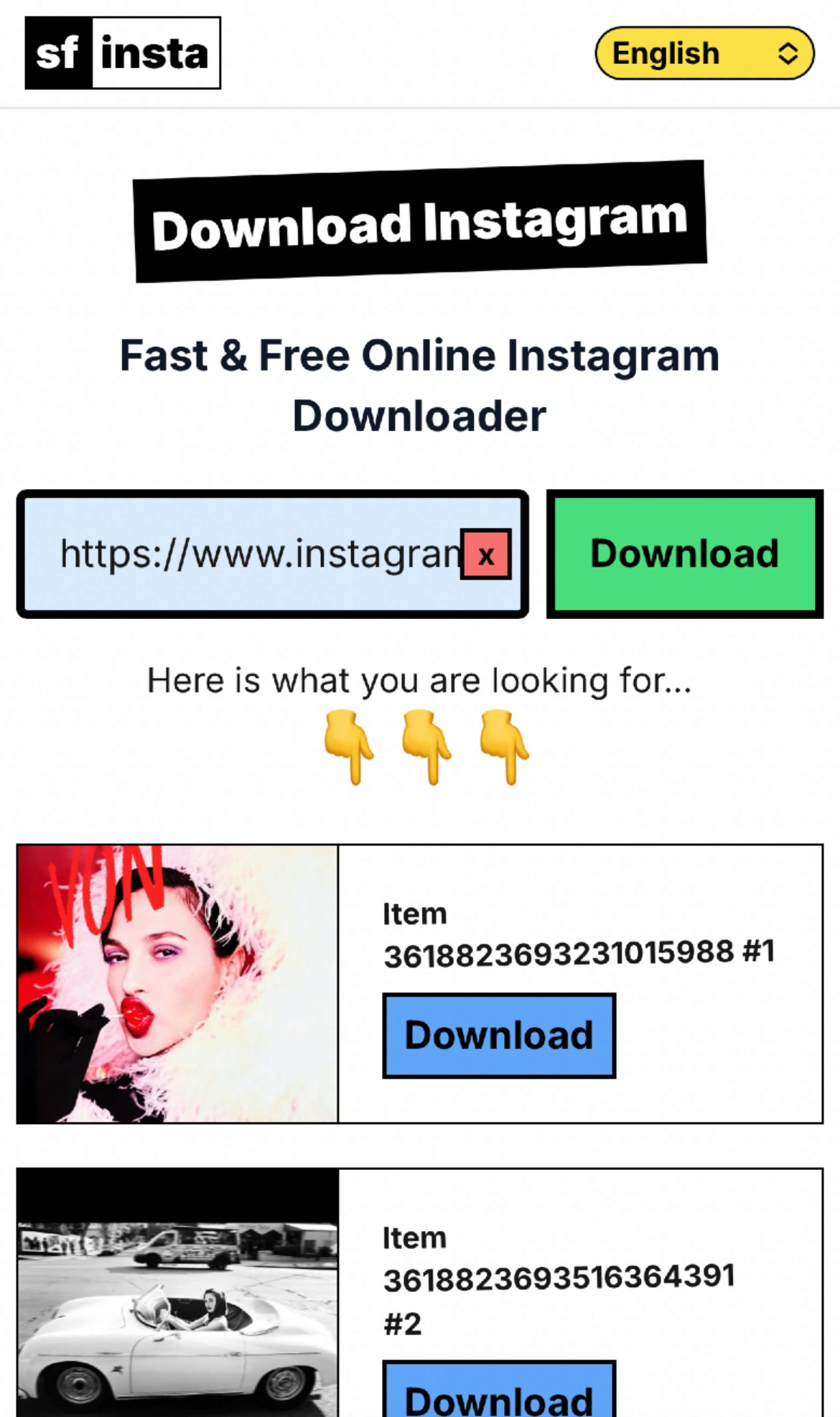 快速免费在线Instagram下载器 - Instagram下载器媒体1