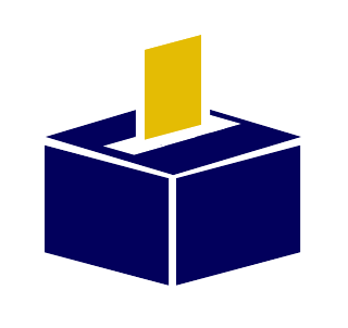 Shareholder Vote Exchange