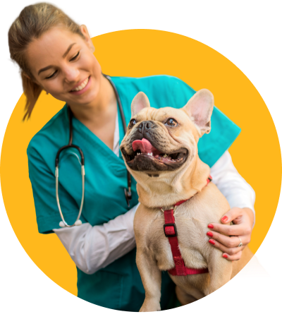 Opy US gallery image