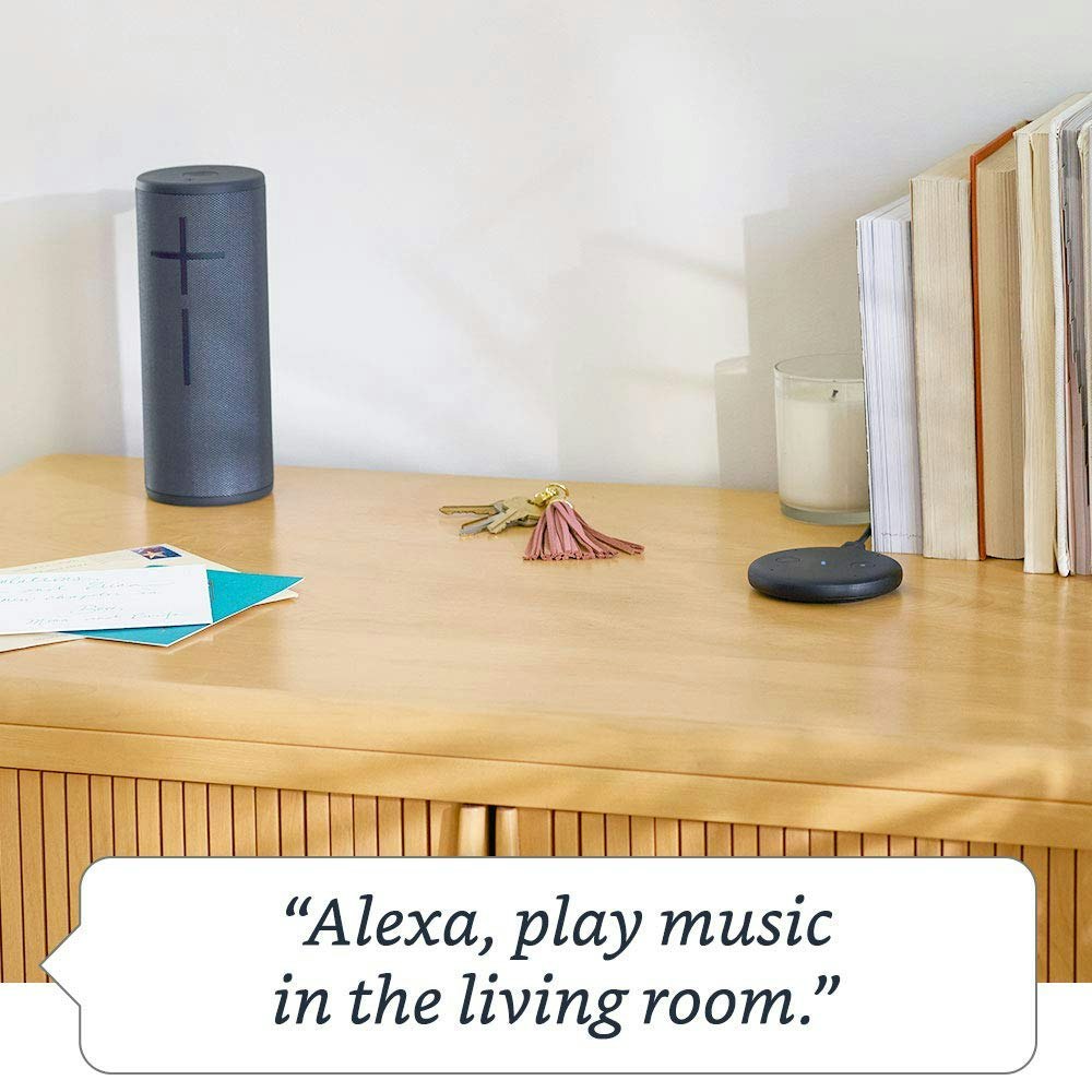 Echo Input gallery image