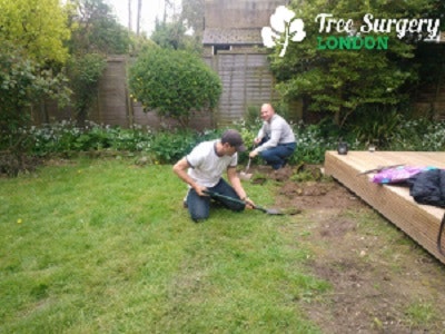 The Most Affordable Gardeners in London gallery image