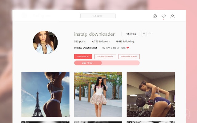 InstaG Downloader for Chrome gallery image