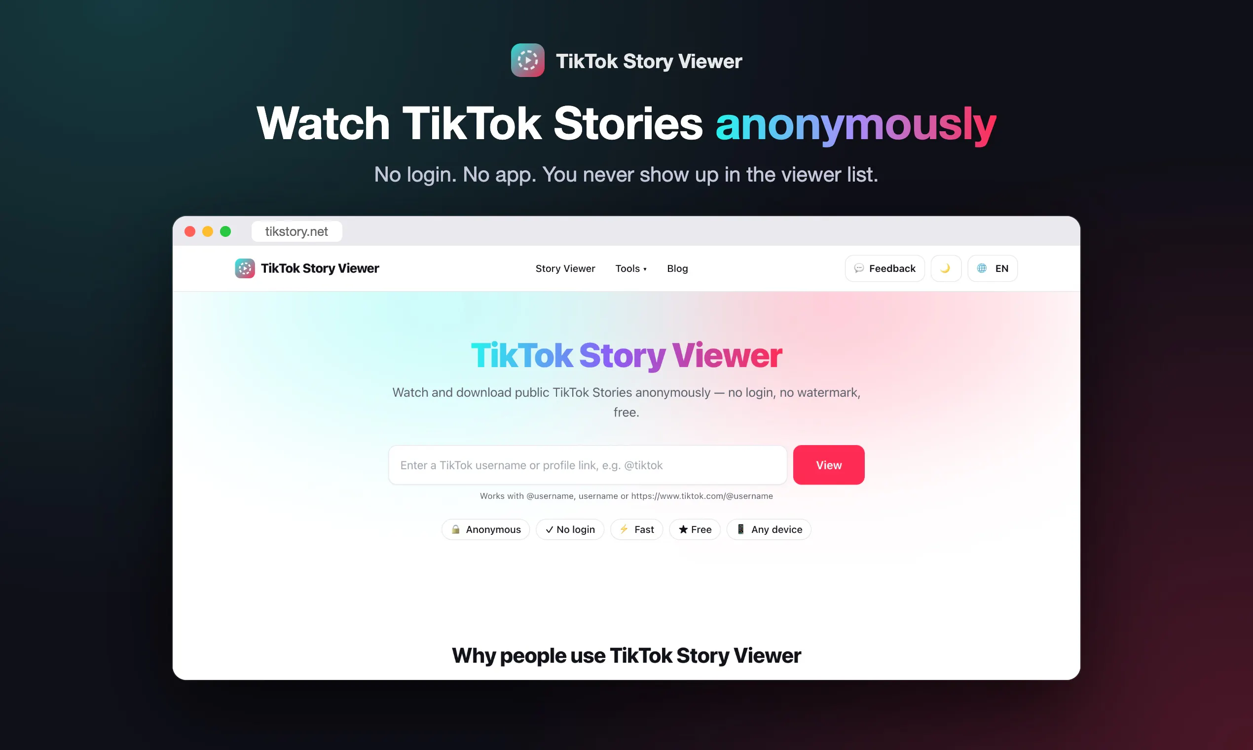 TikTok Story Viewer gallery image