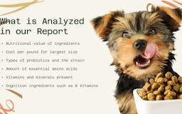 Everfur Free Dog Food Report media 2