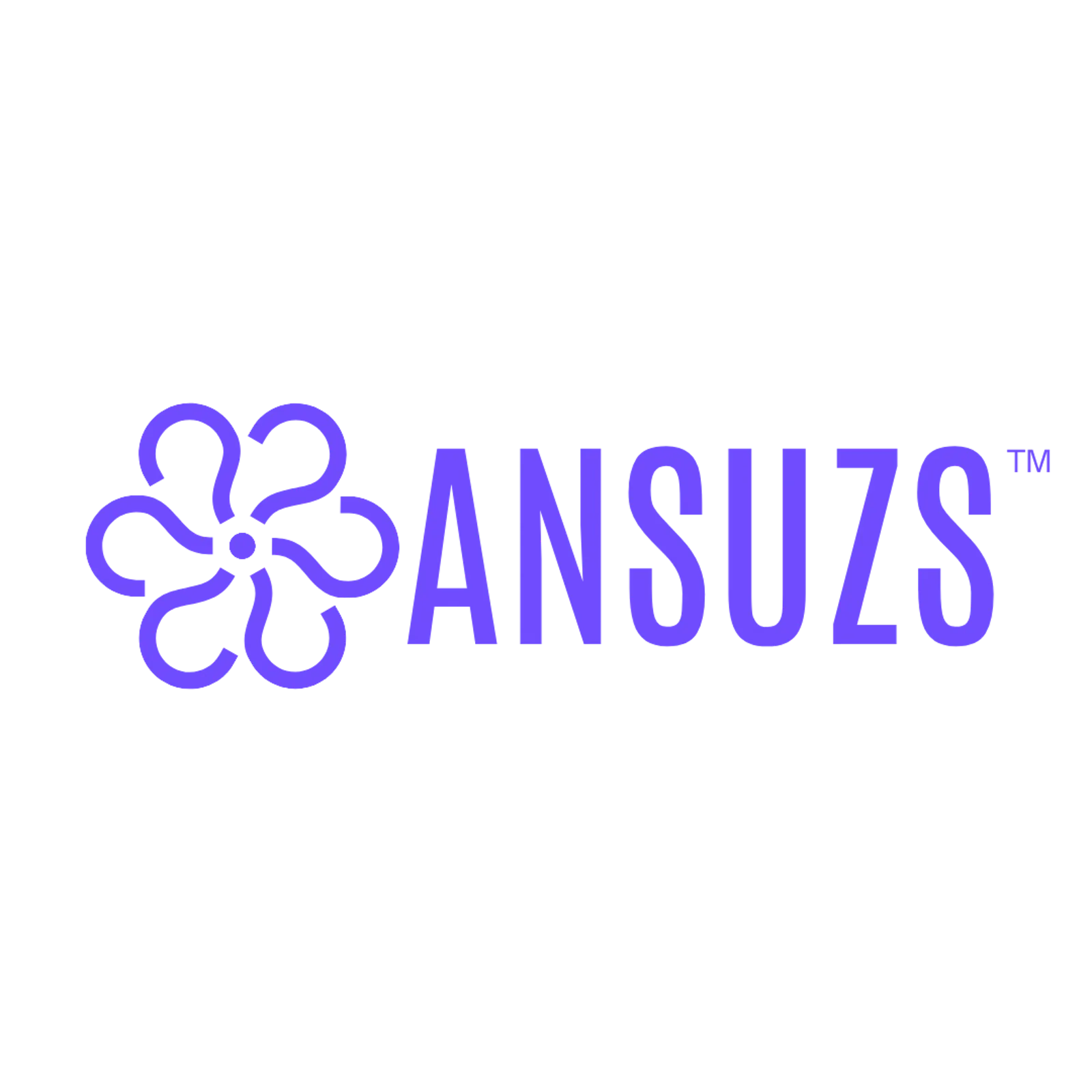 ANSUZS screenshot 1