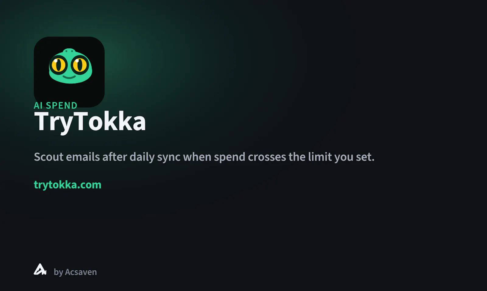 TryTokka screenshot 2