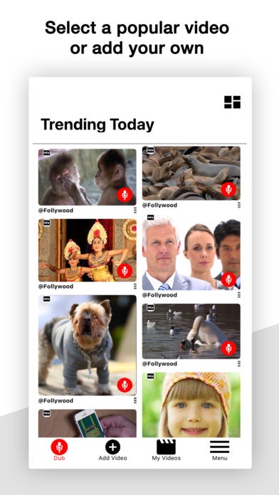 Follywood gallery image