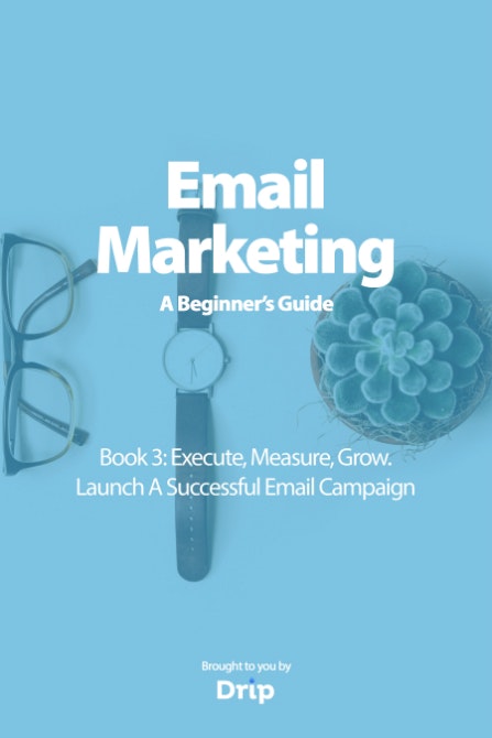 Email Marketing: A Beginner's Guide gallery image